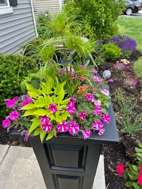 Tiny photo for 320 Sussex Lane, North Aurora, IL 60542 (MLS # 12561010)