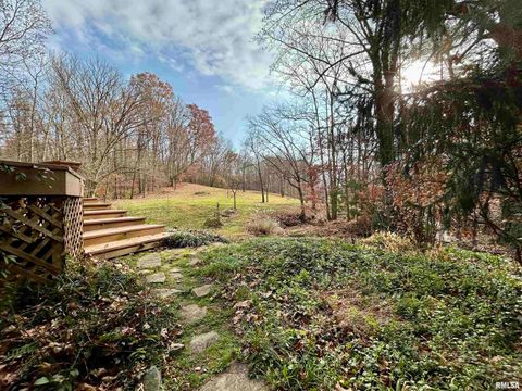 Tiny photo for 61 Schack Road, Murphysboro, IL 62966 (MLS # EB460521)