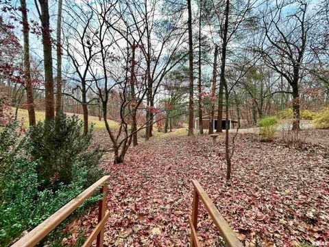 Tiny photo for 61 Schack Road, Murphysboro, IL 62966 (MLS # EB460521)