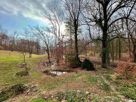 Tiny photo for 61 Schack Road, Murphysboro, IL 62966 (MLS # EB460521)