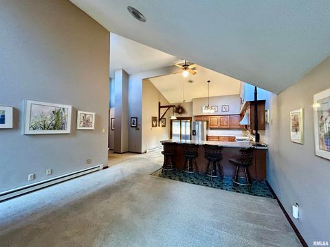 Tiny photo for 61 Schack Road, Murphysboro, IL 62966 (MLS # EB460521)