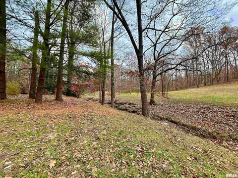 Tiny photo for 61 Schack Road, Murphysboro, IL 62966 (MLS # EB460521)