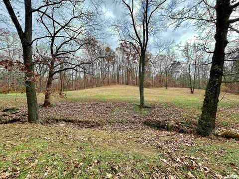 Tiny photo for 61 Schack Road, Murphysboro, IL 62966 (MLS # EB460521)