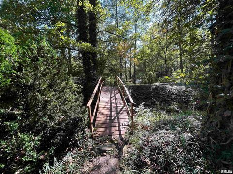 Tiny photo for 61 Schack Road, Murphysboro, IL 62966 (MLS # EB460521)