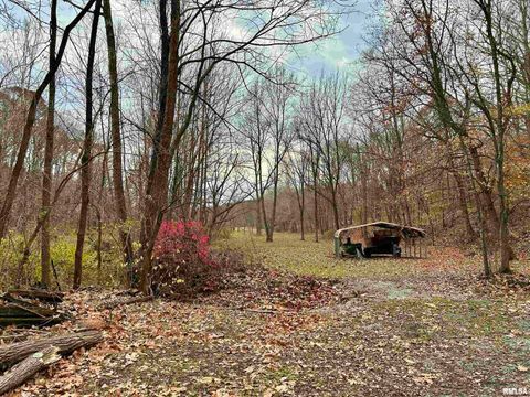 Tiny photo for 61 Schack Road, Murphysboro, IL 62966 (MLS # EB460521)