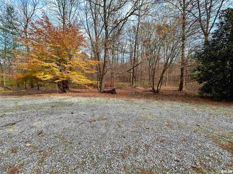 Tiny photo for 61 Schack Road, Murphysboro, IL 62966 (MLS # EB460521)