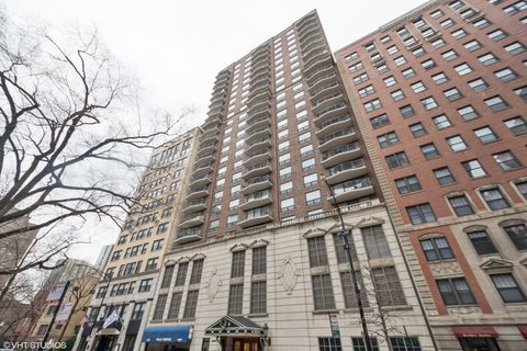 1250 N Dearborn Street 16B Chicago IL 60610