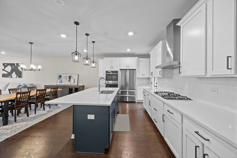 Tiny photo for 249 Hoffmann Drive, Buffalo Grove, IL 60089 (MLS # 12559757)