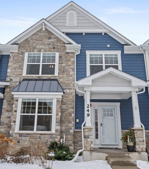 249 Hoffmann Drive Buffalo Grove IL 60089