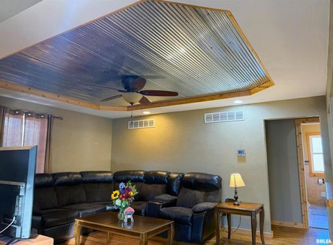 Tiny photo for 510 S CHARLES Street, Steeleville, IL 62288 (MLS # EB460476)