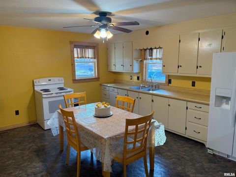 Tiny photo for 510 S CHARLES Street, Steeleville, IL 62288 (MLS # EB460476)