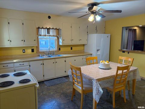 Tiny photo for 510 S CHARLES Street, Steeleville, IL 62288 (MLS # EB460476)