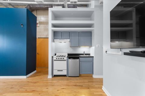 Tiny photo for 1024 W Fry Street #101, Chicago, IL 60642 (MLS # 12500448)