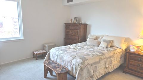 Tiny photo for Elk Grove Village, IL 60007 (MLS # 12605565)