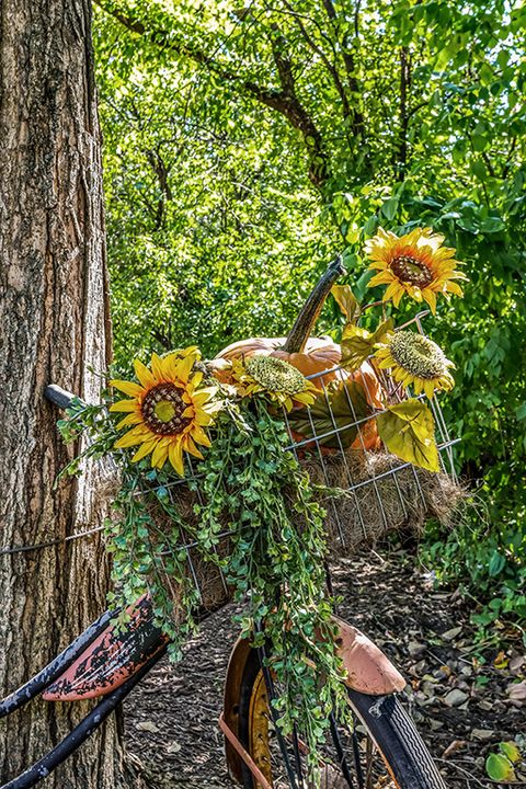 Tiny photo for 11901 S 92nd Avenue, Palos Park, IL 60464 (MLS # 12561545)