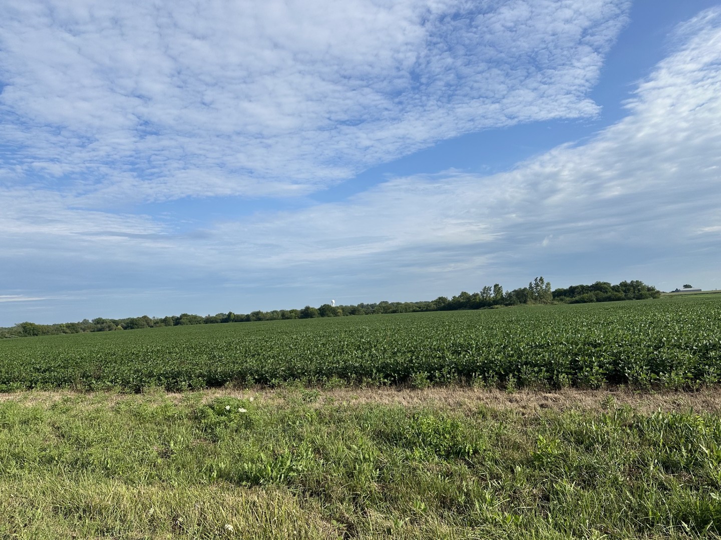 30 Acres Church and Racine Avenue
