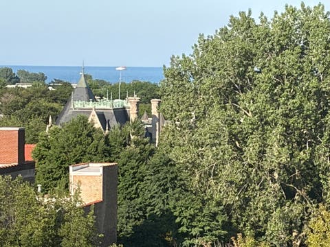Tiny photo for 1819 S Michigan Avenue #710, Chicago, IL 60616 (MLS # 12695113)