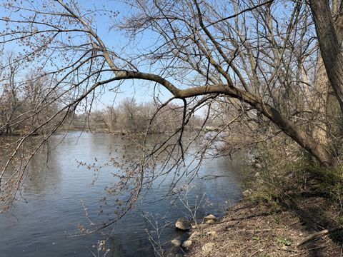 Tiny photo for 123 W Benton Street, Oswego, IL 60543 (MLS # 12335262)