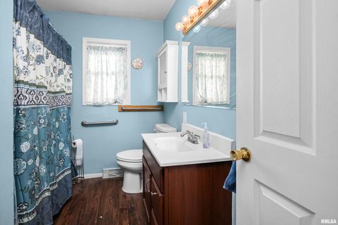 Tiny photo for 201 12TH Street, De Witt, IA 52742 (MLS # QC4270097)