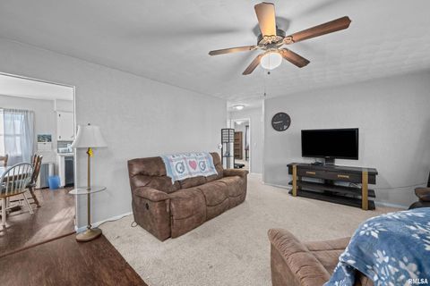 Tiny photo for 201 12TH Street, De Witt, IA 52742 (MLS # QC4270097)