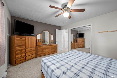 Tiny photo for 201 12TH Street, De Witt, IA 52742 (MLS # QC4270097)