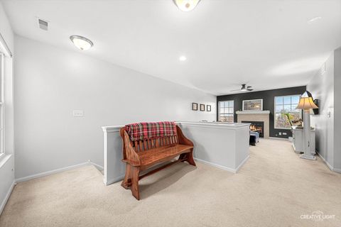 Tiny photo for 422 Merlot Court, Oswego, IL 60543 (MLS # 12545116)