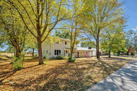 Tiny photo for 904 5TH Street, Erie, IL 61250 (MLS # 12623819)