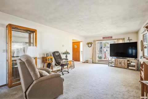 Tiny photo for 904 5TH Street, Erie, IL 61250 (MLS # 12623819)