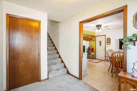 Tiny photo for 904 5TH Street, Erie, IL 61250 (MLS # 12623819)