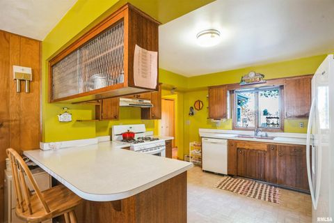 Tiny photo for 904 5TH Street, Erie, IL 61250 (MLS # 12623819)