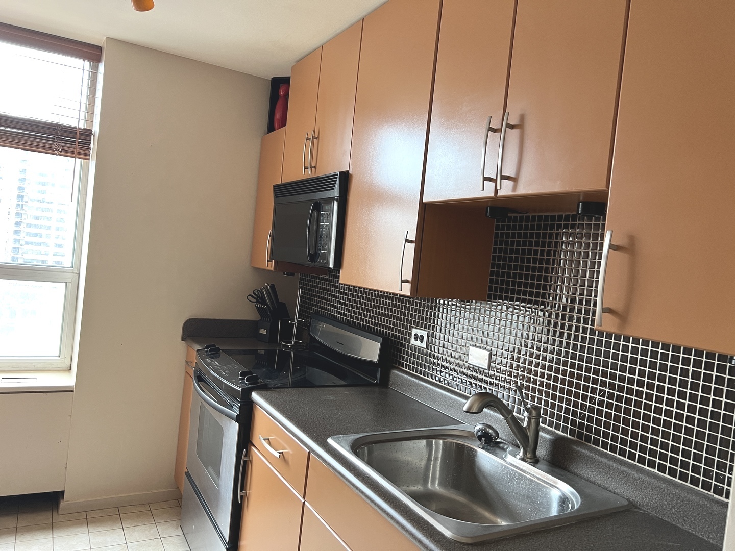 70 W Burton Place 1203