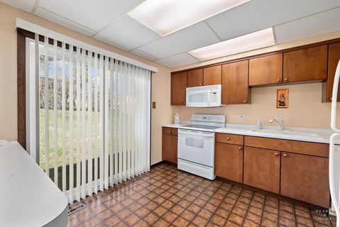 Tiny photo for 404 Lucille Avenue, Fox River Grove, IL 60021 (MLS # 12606465)