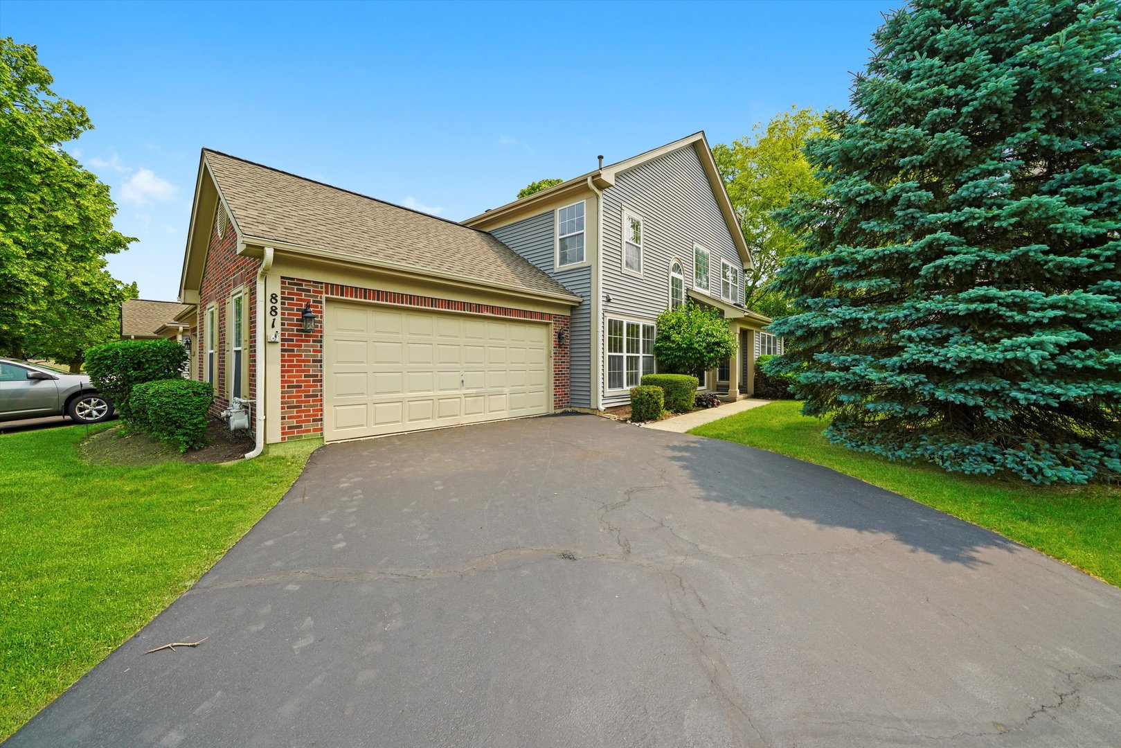881 Dandridge Court