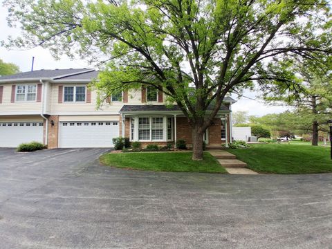 Photo of 9845 Cambridge Court #B, Mokena, IL 60448 (MLS # 12635268)