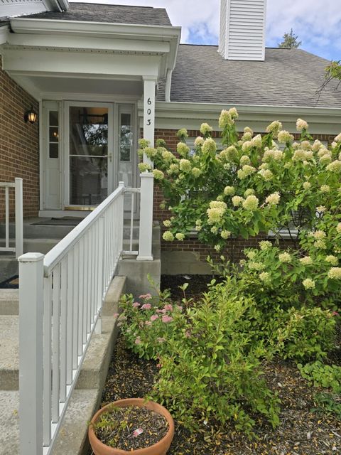 Tiny photo for 603 THISTLE Lane, Prospect Heights, IL 60070 (MLS # 12468800)