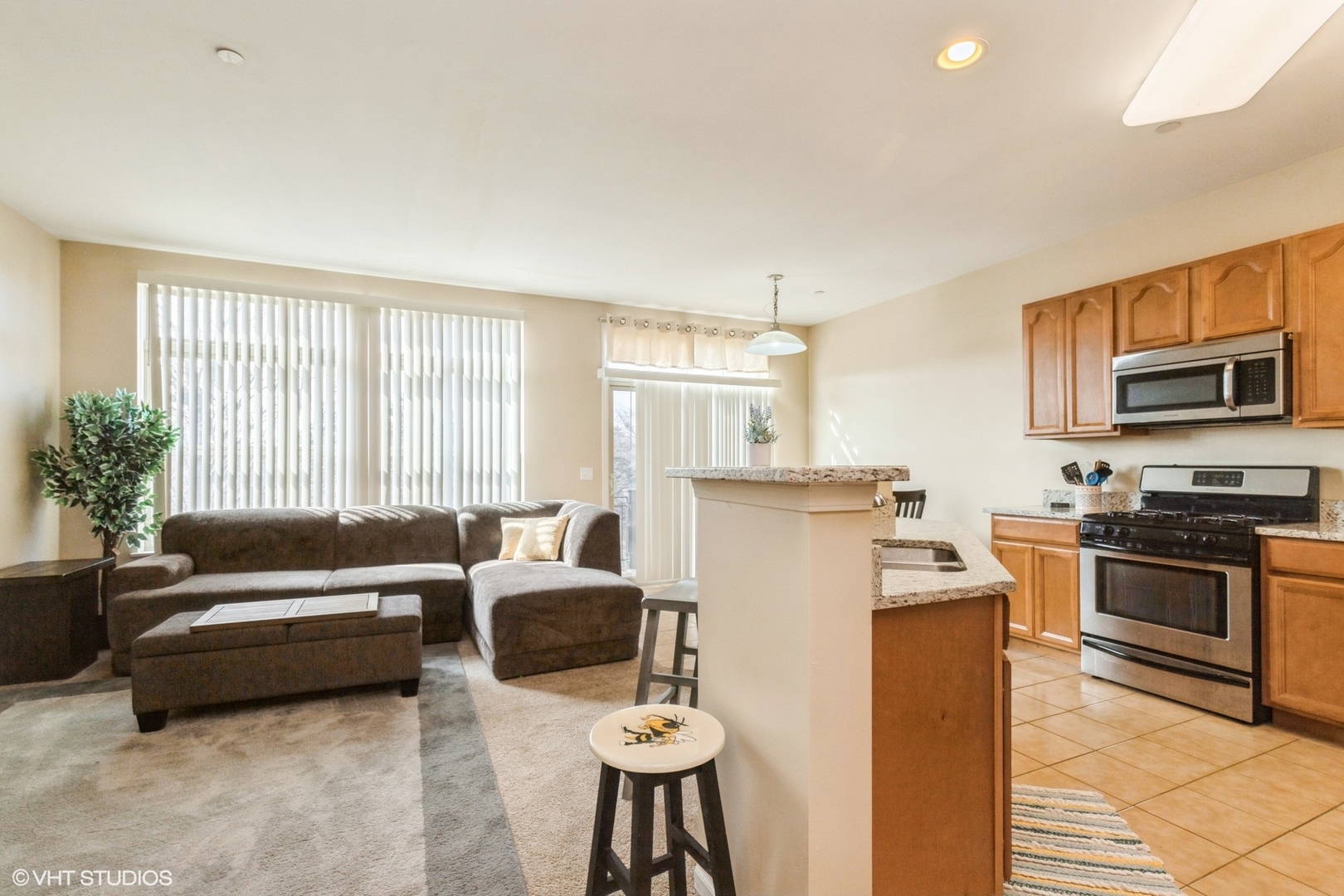 339 W Alpine Springs Drive