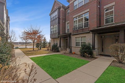 339 W Alpine Springs Drive Vernon Hills IL 60061