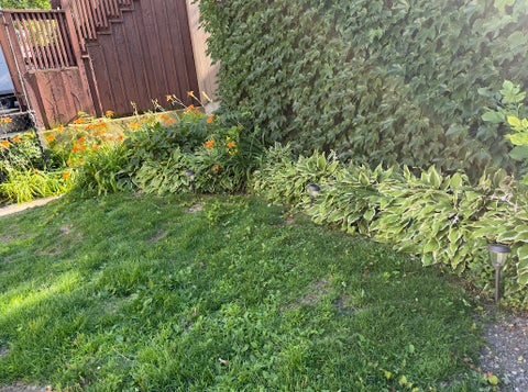 Tiny photo for 2130 N Hoyne Avenue, Chicago, IL 60647 (MLS # 12693413)