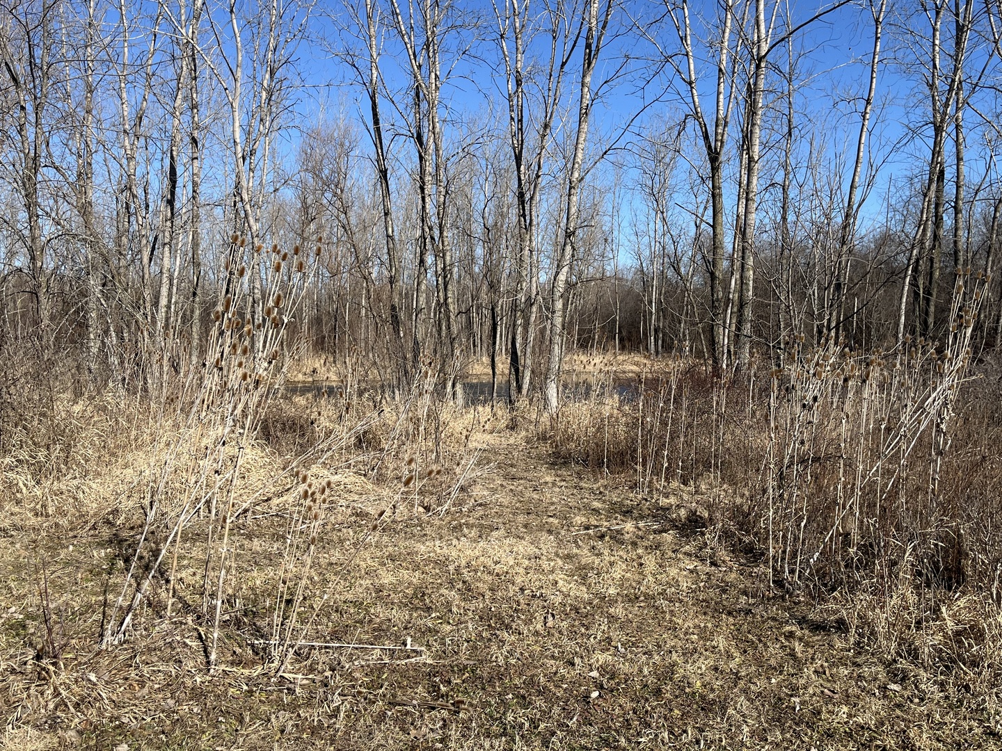 39155 N Dilleys Road