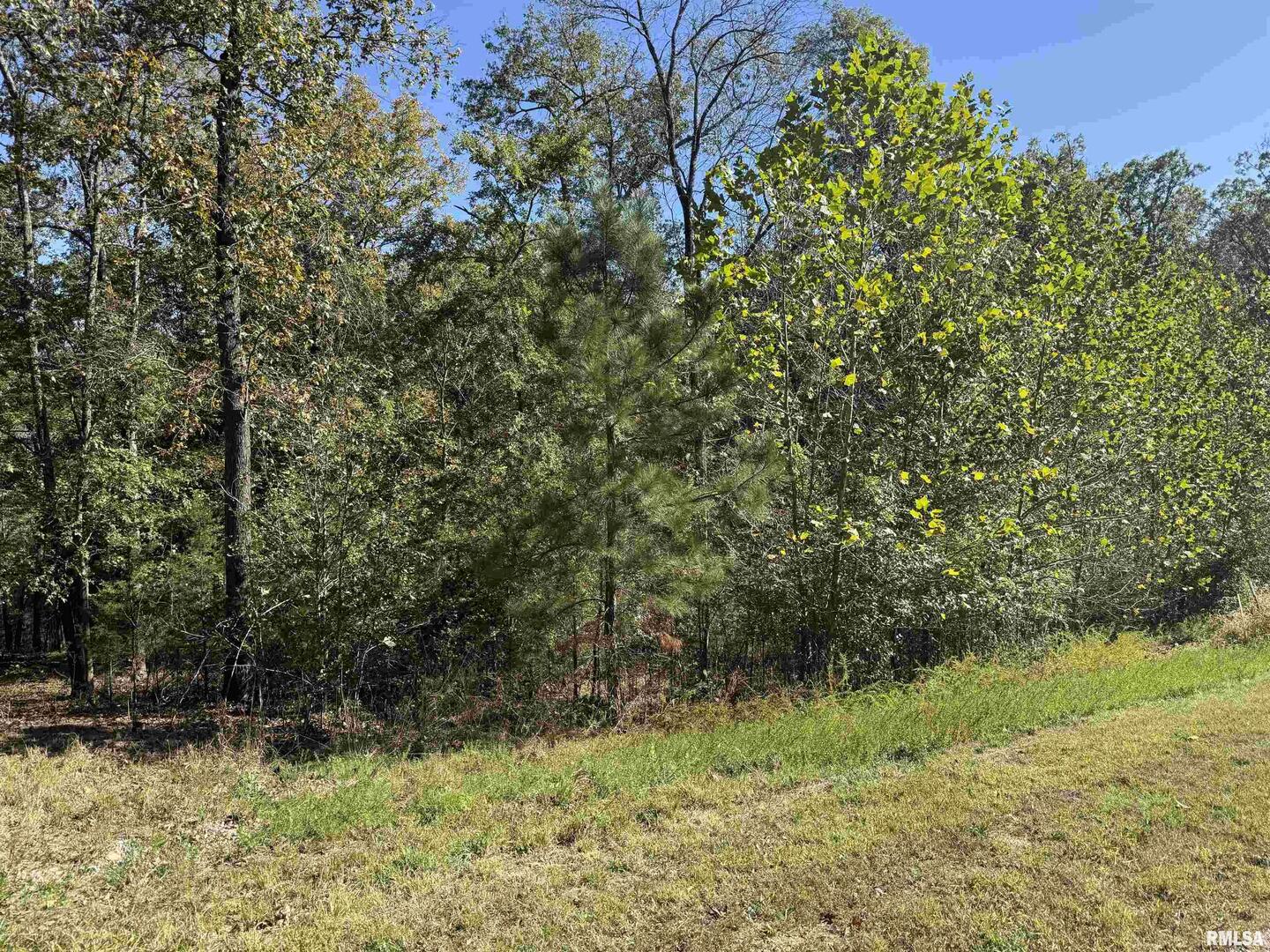 0000 Clifty Lane