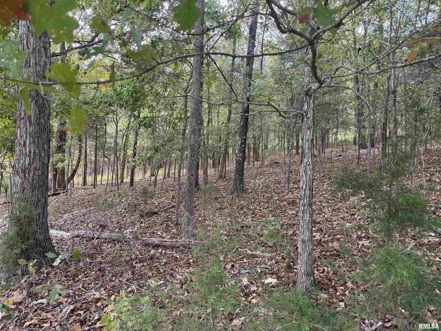 0000 Clifty Lane