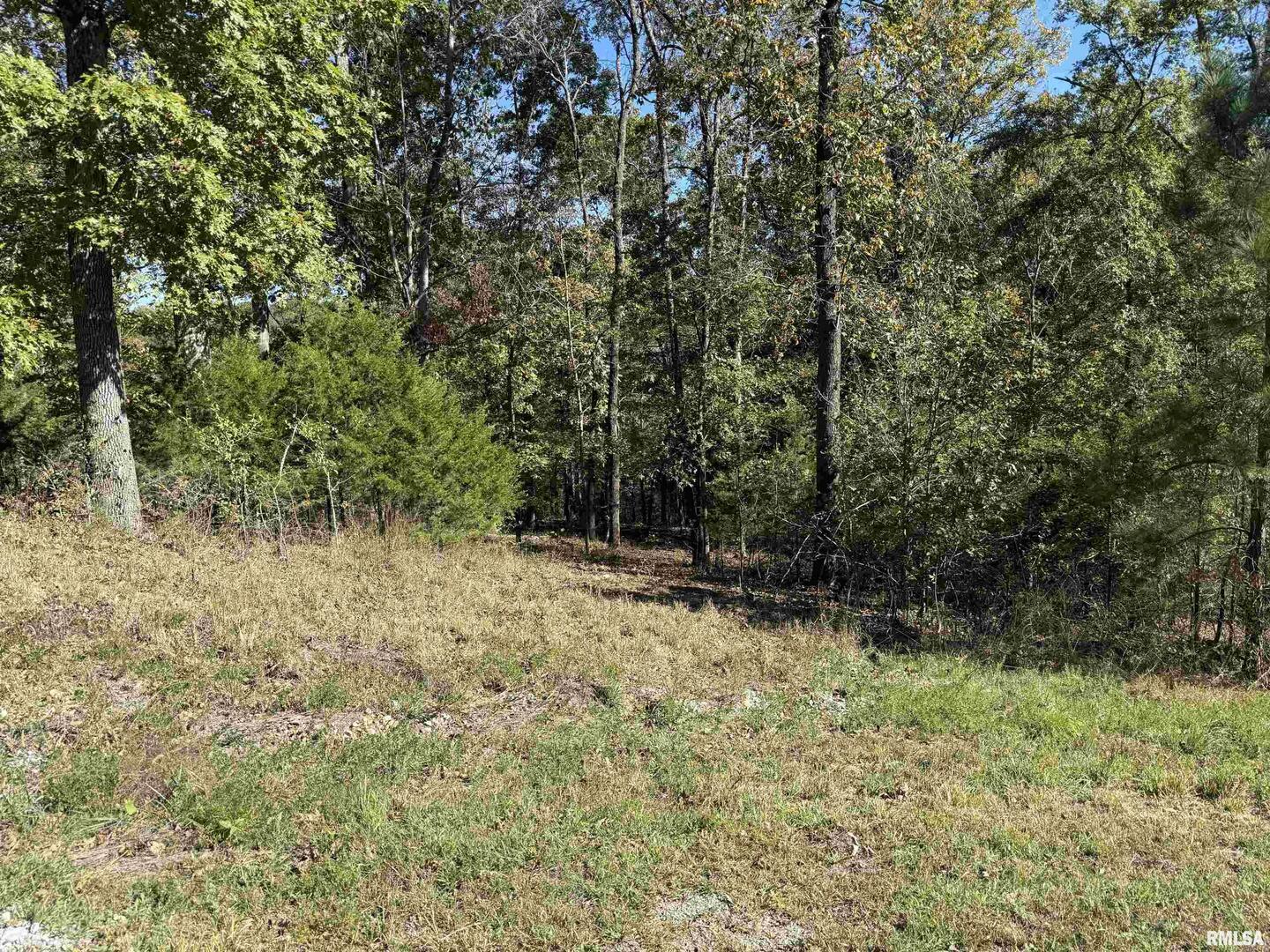 0000 Clifty Lane