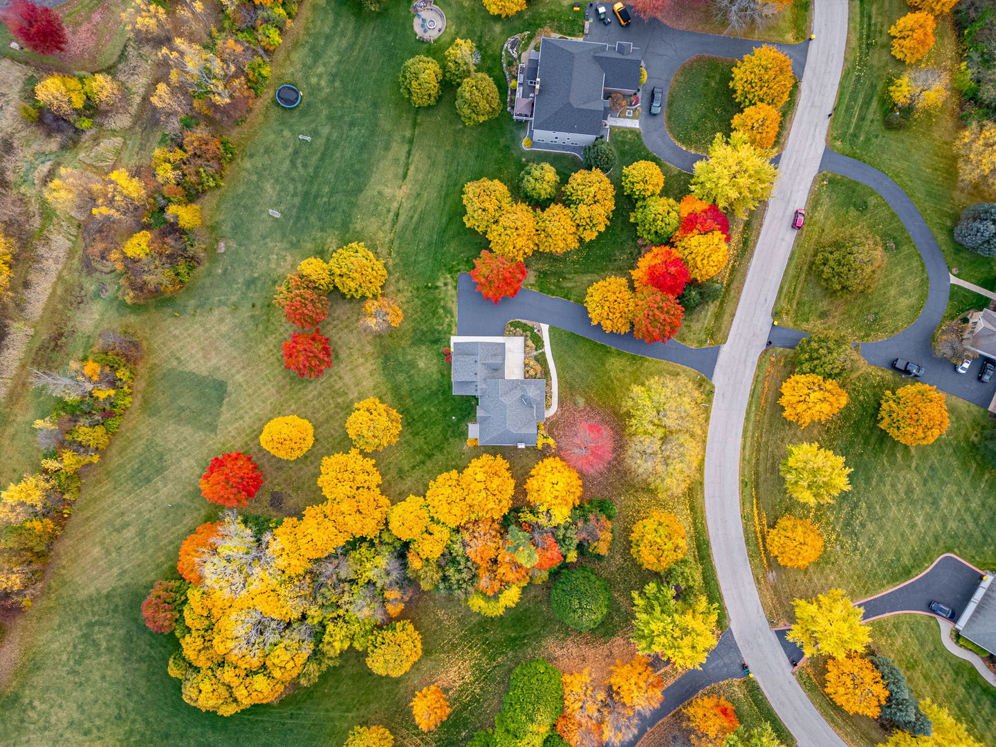 2505 Timberline Trail