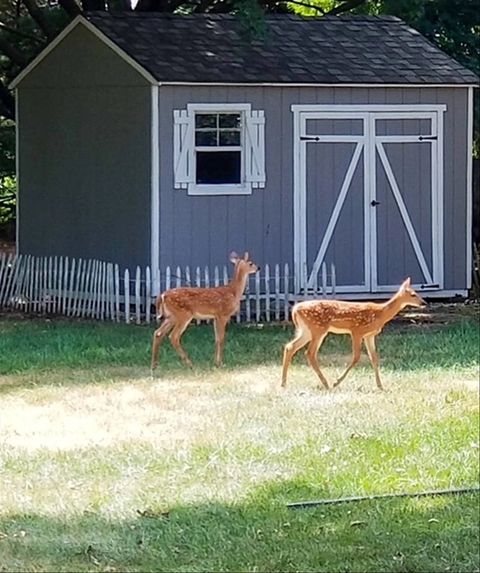 Tiny photo for 1307 Cross Creek Road, Mahomet, IL 61853 (MLS # 12628885)