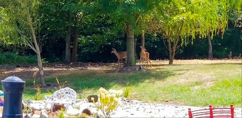 Tiny photo for 1307 Cross Creek Road, Mahomet, IL 61853 (MLS # 12628885)