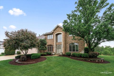 10521 Buck Drive Orland Park IL 60467