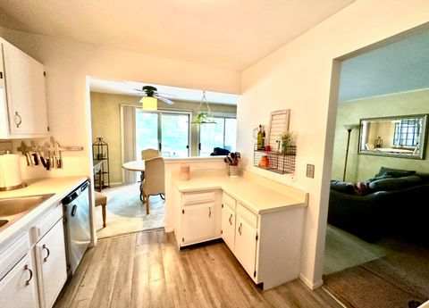 Tiny photo for 22 Waterbury Lane #N1, Schaumburg, IL 60193 (MLS # 12485696)