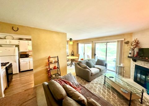Tiny photo for 22 Waterbury Lane #N1, Schaumburg, IL 60193 (MLS # 12485696)