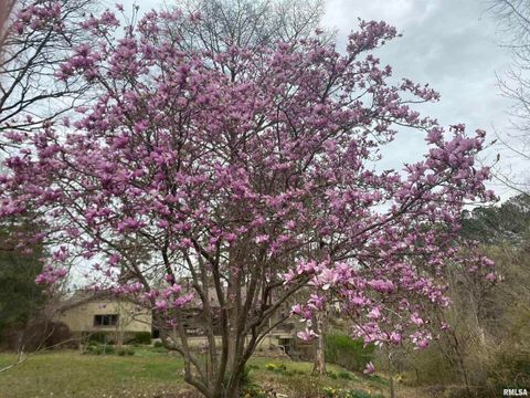 Tiny photo for 50 Hawthorn Hollow Road, Carbondale, IL 62903 (MLS # EB459959)