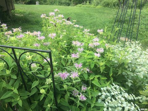 Tiny photo for 50 Hawthorn Hollow Road, Carbondale, IL 62903 (MLS # EB459959)